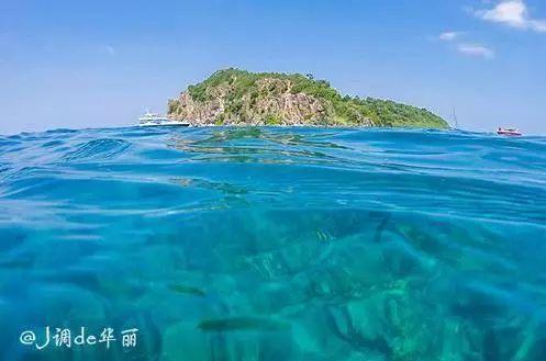 拯救穆尔小马