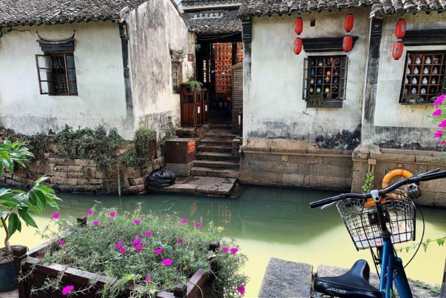 煮毛豆时，用怎样的技巧才能让毛豆翠绿不发黄？游戏画面